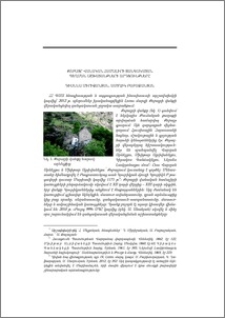 Քոբայր վանական համալիրի զանգակատան պեղման աշխատանքների արդյունքները