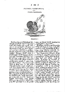 Հնդկահաւ