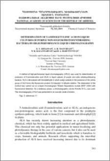 Determination of 5-aminolevulinic acid in liquid cultures of purple non-sulfur photosynthesizing bacteria by high performance liquid chromatography