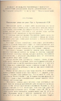 Платановая роща по реке Цав в Армянской ССР