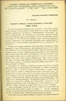 Случай стайного залета фламинго в бассейн озера Севан