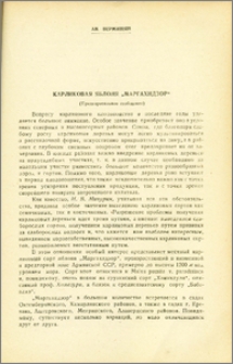 Карликовая яблоня "Маргахндзор"