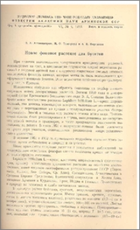 Новое фоновое растение для букетов