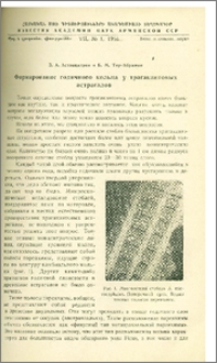 Формирование годичного кольца у трагакантовых астрагалов