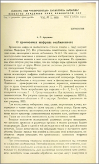 О хромосомах шафрана окаймленного