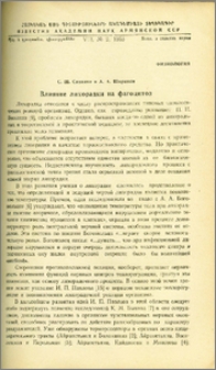 Влияние лихорадки на фагоцитоз