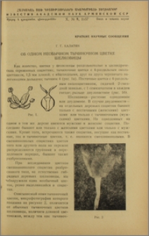 Об одном необычном тычиночном цветке шелковицы