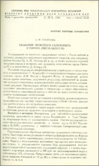 Развитие мужского гаметофита у гороха (Pisum sativum)