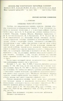 Амебома толстой кишки