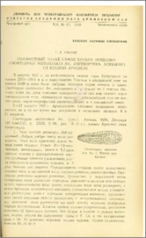 Неизвестный науке самец конька мищенко Chorthippus Misstshenkoi Av. (Orthoptera, Acididae) из южной Армении
