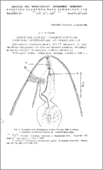 Новый для СССР вид галловой нематоды (Nematoda, Heteroderidae) из Армянской ССР