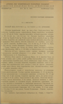 Новый вид бурачка (p. Alyssum L.)из Армении
