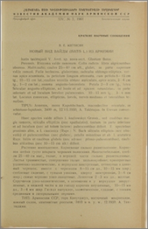 Новый вид вайды (isatis L.) из Армении