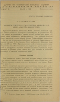 Личинка красотела Callisthenes breviusculus Mnnh. (Insecta, Coleoptera)