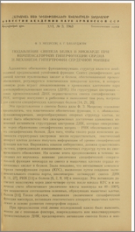 Подавление синтеза белка в миокарде при компенсаторной гиперфункции сердца и механизм гипертрофии сердечной мышцы