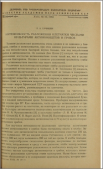 Интенсивность разложения клетчатки чистыми культурами актиномицетов и грибов
