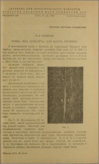 Новый вид Aegilops-а для флоры Армении