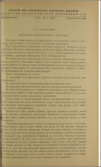 Явление метаксении у томатов