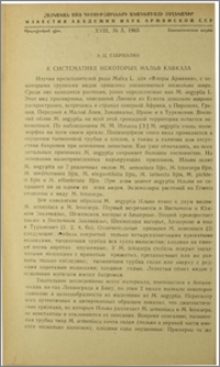 К систематике некоторых мальв Кавказа