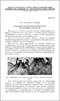 Особенности формирования почек на клубнях картофеля