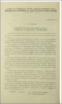 Влияние частоты поливов на рост, развитие и цветение тюльпанов