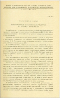 Формирование и развитие перидермы на клубнях картофеля