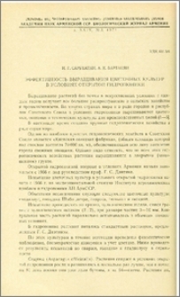 Эффективность выращивания цветочных культур в условиях открытой гидропоники