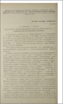 Козлятник лекарственный - Galega officinalis L.- новый вид для флоры Армении