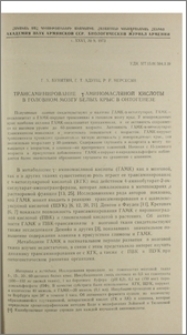 Трансаминирование γ-аминомасляной кислоты в головном мозгу белых крыс в онтогенезе