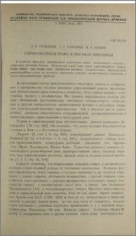 Сорно-полевая рожь в посевах пшеницы