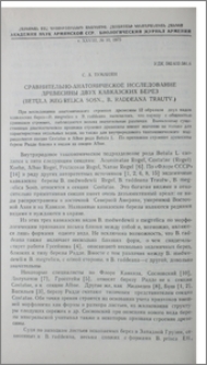 Сравнительно-анатомическое исследование древесины двух кавказских берез (Betula megrelica Sosn., B. raddeana Trautv.)