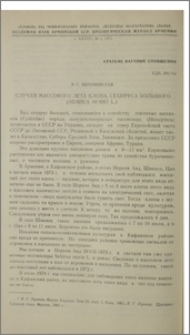 Случай массового лета клопа, сехируса большого (Sehirus morio L.)