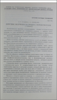 Действие облучения на процесс оплодотворения у томата