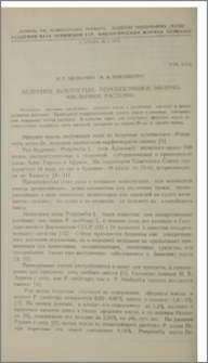 Бедренец золотистый - перспективное эфиромасличное растение