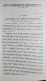 Морфология преимагинальных фаз слепней Tabanus hauseri Ols. и Tabanus laetitinctus sordes B. et S. (Diptera, Tabanidae). II