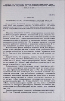 Симметрия пары супротивных листьев фасоли