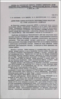 Действие гамма-фотонов сверхвысоких энергий на гриб Endomyces vernalis