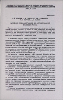 Влияние дексаметазона на формирование полисом мозга