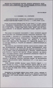 Анатомическое строение семянок некоторых представителей родов Senecio L. и Ligularia Cass.