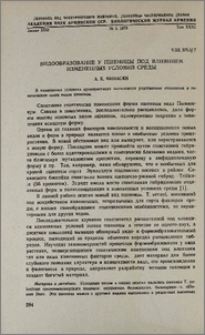 Видообразование у пшеницы под влиянием измененных условий среды