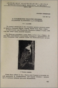 О нахождении хохлатой кукушки (Clamator Glandarius L.) в Армении