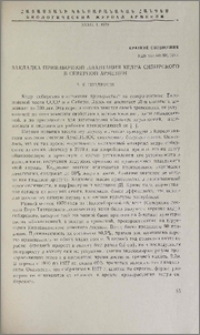 Закладка прививочной плантации кедра сибирского в Северной Армении