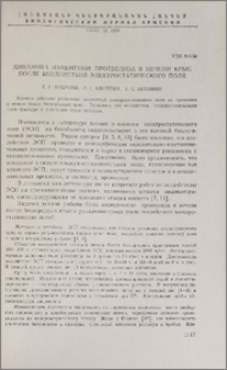 Динамика изменений протеолиза в печени крыс после воздействия электростатического поля