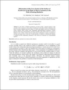 Deformation of the Cross Section of the Surface of Erythrocyte in the Plane of Mirror Symmetry in the Field of Ionizing Radiation