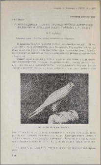 О нахождении редкой хроматической аверрации балобана в Армении (Falco Cherrug J. E. Gray)