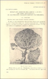 Новые для Армении род (Rheum L.) и вид (Artemisia abrotanum L.) из Хосрофского государственного заповедника