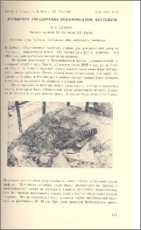 Необычное гнездование обыкновенной пустельги