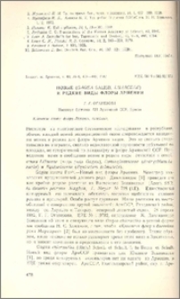 Новые (Gagea Salisb, Liliaceae) и редкие виды флоры Армении
