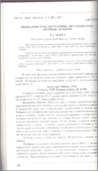 Медведицы рода Arctia Schrk. 1801 (Lepidoptera, Arctiidae) Армении