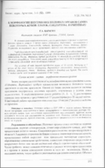 К морфологии внутренних половых органов самца некоторых жуков-златок (Coleoptera, Buprestidae)